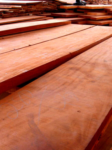 10 BOARD FEET KILN DRIED 8/4 SPANISH CEDAR LUMBER WOOD FAS GRADE